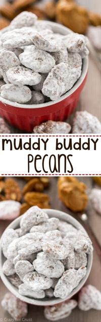 Muddy Buddy Pecans are an easy recipe that's perfect for parties, holidays, or parties! Chocolate and peanut butter covered pecans, doused in powdered sugar!