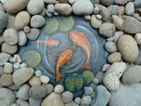 fish painted on a slate rock...surrounded by river rock...cute