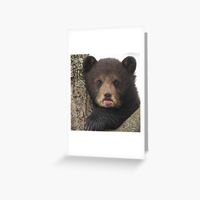 Get my art printed on awesome products. Support me at Redbubble #RBandME: https://www.redbubble.com/i/greeting-card/Cute-bear-cartoon-baby-bear-cute-cub-gifts-for-animals-lovers-by-haRexia/140959482.5MT14?asc=u