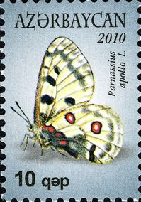 Stamp: Apollo (Parnassius apollo) (Azerbaijan) (Butterflies) Mi:AZ 834A,Yt:AZ 715,Sg:AZ 781