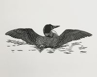 A handmade, original, limited edition linocut print of a common loon (or great northern diver). The linocut is hand printed using black vegetable oil-based Caligo Safe Wash Relief Ink on beautiful Zerkall 145gsm engraving paper. It is one of a limited edition run of only 60 prints, each of which is numbered, dated and signed in pencil by me. Since each print in the run bears a different edition number, the number of your print (e.g 5/60) may not be the one shown in the photographs. Every step in the process of making the linocut, from designing and drawing, to carving and printing, is done entirely by hand by me, and, as such, every print in the edition is absolutely unique and may vary ever so slightly from the illustration. This is not a flaw, but rather an inevitable outcome of the hand