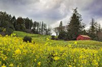 Healdsburg, California (I also went here a long time ago)