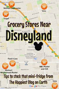 Grocery stores near Disneyland, no car needed!