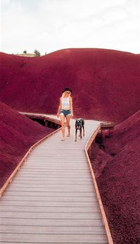 Painted Hills in Oregon - read through our guide for all the top places to visit in Oregon!