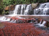 Quebrada de Jasper, Canaima, Venezuela. Waterfall over jasper rocks (done!) I loved Venezuela and did not want to go home.