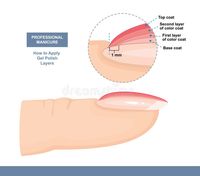 How to Properly Apply Gel Polish. Correct Layer Order. Professional Manicure Tutorial. Vector royalty free illustration