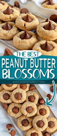 These delicious Peanut Butter Blossoms are a holiday favorite! Soft and chewy peanut butter cookies rolled in sugar and topped with a kiss! There is nothing better than peanut butter and chocolate together and these cookies are proof! A favorite Christmas cookie recipe! // Mom On Timeout #peanutbutterblossoms #peanutbuttercookies #cookies #chocolate #christmascookies