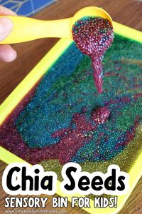 Chia Seed Sensory Bin - Little Bins for Little Hands