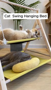 Introducing the Solid Wood Double-layer Cat Hammock Swing Hanging Bed, the perfect addition to your cat's lounging routine. Made with high-quality solid wood, this hammock offers double the space for your furry friend to relax and swing in. Give your cat the gift of comfort and style.