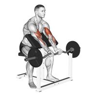 The barbell preacher curl is a fantastic exercise for targeting your biceps in a controlled and effective manner. It is performed on a preacher bench, which supports the arms and isolates the biceps by taking the momentum (swinging) out of the equation.  The preacher curl allows for a full range of motion, especially in the lower part of the curl where your arms are fully extended.