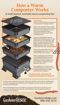 Gardening Tips: How worm composting works! A Worm Compost Bin accelerates the composting process through activity by the worms, and it is easy to manage. The Worm Factory is designed to support all of the benefits or worm composting!  |  GardenersEdge.com