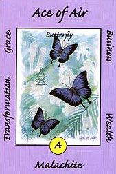 Ace of Air, BUTTERFLY - Australian Animal Tarot by Ann Williams-Fitzgerald