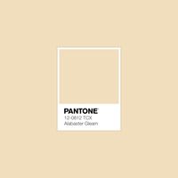 Explore ALL 2,625 Pantone Colors Instantly in FREE Gallery! · PANTONE 12-0812 TCX Alabaster Gleam Color · #Pantone #Color #ColorRange #Design · @pantonecolor · Kid’s Pattern