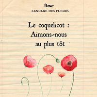 Langage des fleurs | Flow