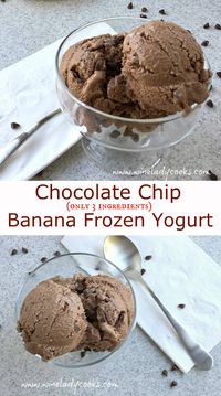 3 Ingredient Chocolate Chip Banana Frozen Yogurt, no added sugar, a healthy frozen treat for any day. Click thru for easy recipe.