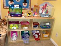 Preschool Pet Shop! How much fun would the children have with this in your library? What books would you display with your "pets" ? From thoughtfulspotdaycare.blogspot.com