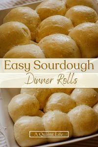 These Easy Sourdough Dinner Rolls are a great compliment to any meal with their fluffy texture and delicious sourdough flavor. The best part is you can make them the same day or do a long ferment to have them on your table.