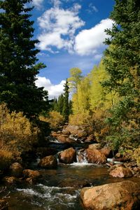 mountain stream, clear blue sky, wonderful #NiceBlueSkys