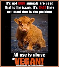 It's not how animals are used that is the issue. It's that they are used that is the problem. All use is abuse.