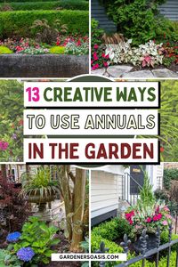 Learn how to use annuals in your garden like a pro with these beginners tips. Create stunning landscape design using annual flower garden ideas that will wow your neighbors!