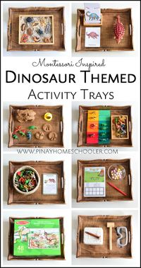 Montessori Inspired Dinosaur Activity Trays for Preschoolers