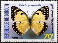 Stamp: Yellow Splendour Tip (Colotis protomedia) (Djibouti) Mi:DJ 518,Sn:DJ 644,Yt:DJ 649,Sg:DJ 1030