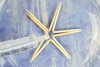 Magic Water Toothpick Star Trick