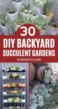 You'll love this list of 30 backyard succulent gardens! Tons of designs for adding beauty and life to your yard with little effort! A gardener's dream! Check out all of the unique vertical succulent gardens, designs for garden spaces, and amazing succulent planters. #Succulents #SucculentPlanter #SucculentGarden #BackyardGarden #Gardening #Cactus