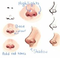 Nose colors