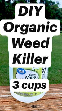 Difficulty: Easy

 

Supplies
 • Old spray bottle (22 oz)
 • White Vinegar (3 cups)
 • Salt (1/4 cup)
 • Dish soap (1 tsp)

I love this organic method because I have animals and kiddos running around! Give it a try you won’t be disappointed! This works the fastest on a hot dry day!

