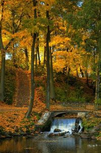 Waterfall Bridge Woodstock, Vermont Autumn Rain ~ - Autumn Blessings