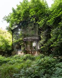 Colorful abandoned greenhouse. Almost fully overgrown [OC] : AbandonedPorn