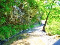 There are lots of roadside waterfalls that require no hiking, but Car Wash Falls is the only one, where you remain in your car for the experience.