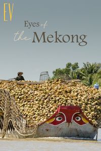 Culture thrives with the rivers, and here in the Mekong Delta, the boats are more than just a means of transport. They are treated like beings with souls and given eyes to help them navigate. The eyes are also believed to allow the boats to spot fish deep underwater and chase away monsters, bringing luck to their owners.

A wealth of culture on Southeast Asia’s lifeline awaits. Let’s follow the flow and unfold the mighty Mekong’s secrets from Thailand all the way to Vietnam with us via the link!