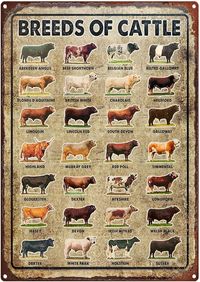 Amazon.com: CCPARTON Metal Tin Signs Vintage Metal Signs for Garage Breeds of Cattle Metal Sign, Cow Metal Sign, Cow Sign, Cattle Breeds, Farm Animals, Cow Gifts, Types of Cows Sign Retro Metal Signs Funny : Home & Kitchen