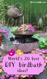 World's 20 Best DIY Birdbath Ideas!