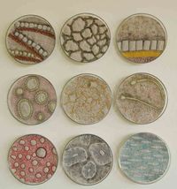 Laura Katherine McMillan is a Canadian textile artist in Salt Spring Island. Her embroidered "Cell Series" caught my attention when I was browsing the internet. Combining an interest in both scienc...