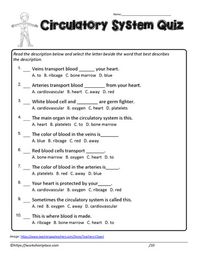 Circulatory System Quiz