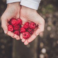 Raspberry-Habanero Jam