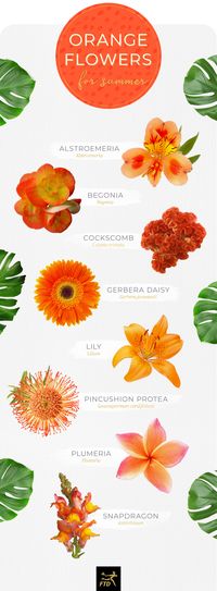 20 Types of Orange Flowers - FTD.com