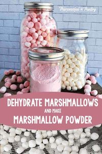 Dehydrated marshmallows are a great first dehydrating project that is perfect for kids. Think of them as that fun cereal marshmallow or the ones from cocoa packets. SO easy to make yourself and use in all sorts of ways. #marshmallows #luckycharms #dehydrating