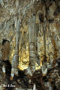 Carlsbad Caverns--looks like a Cathedral! Want to see it someday!