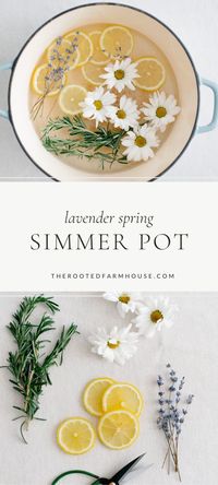 If you are conscious of avoiding unwanted chemicals in your home, but also want a home that smells nice, this lavender spring simmer pot recipe is a great way to make your home smell like spring acting as a natural air freshener.I have become a huge fan of this new springtime recipe. It is a simple way to keep me motivated during my spring cleaning. There is nothing more motivating than spring cleaning with the sweet smell of spring fresh air.