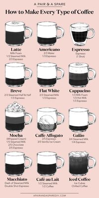 An Illustrated Guide To Making Every Type Of Coffee: