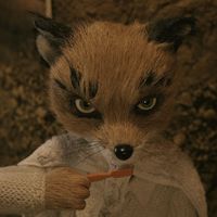 Ash Fantastic Mr Fox icon