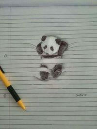 Panda sobre rayas