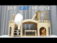 DIY Amazing Cat House for Three cats from Cardboard (Noah vs Nara and Lizzy) - YouTube