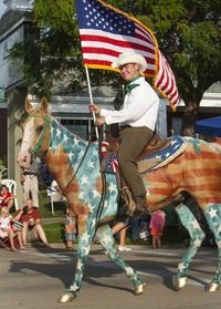 The most patriotic horse you've ever seen