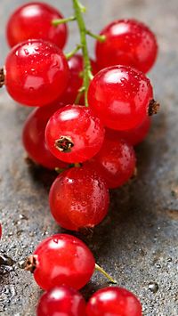 Red Grape Macro #iPhone #7 #wallpaper