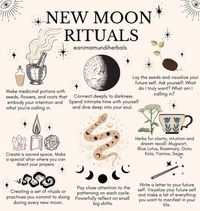 9 Things You Should (and Should Not!) Do During a New 🌑 Moon